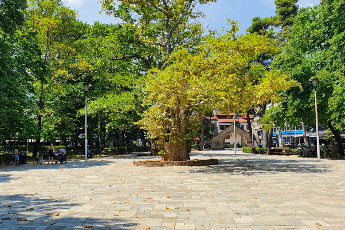 Naousa