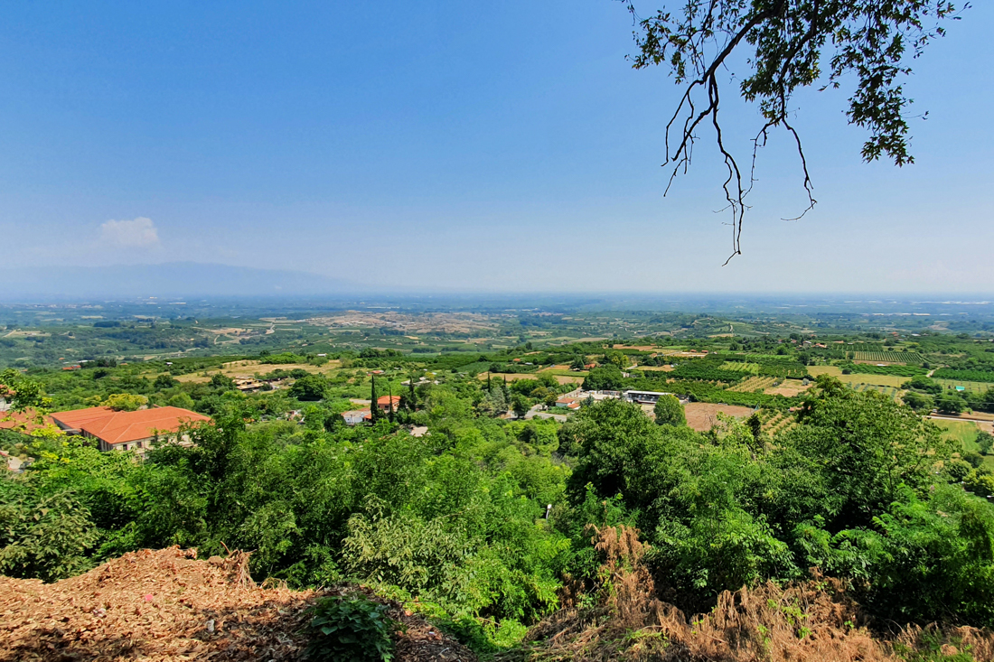 Naousa