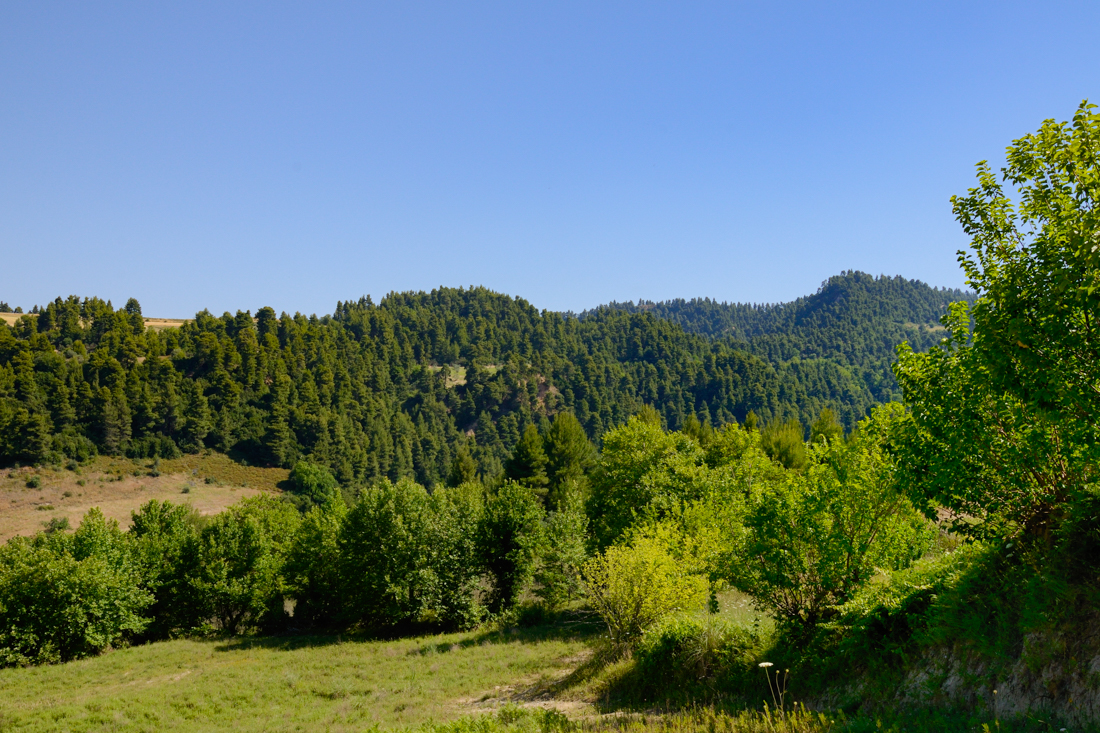 Evia