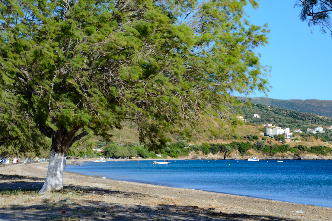 Paralia Figia