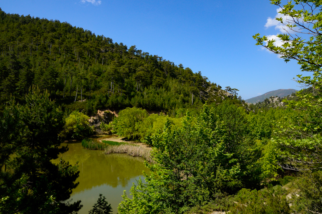 Thassos